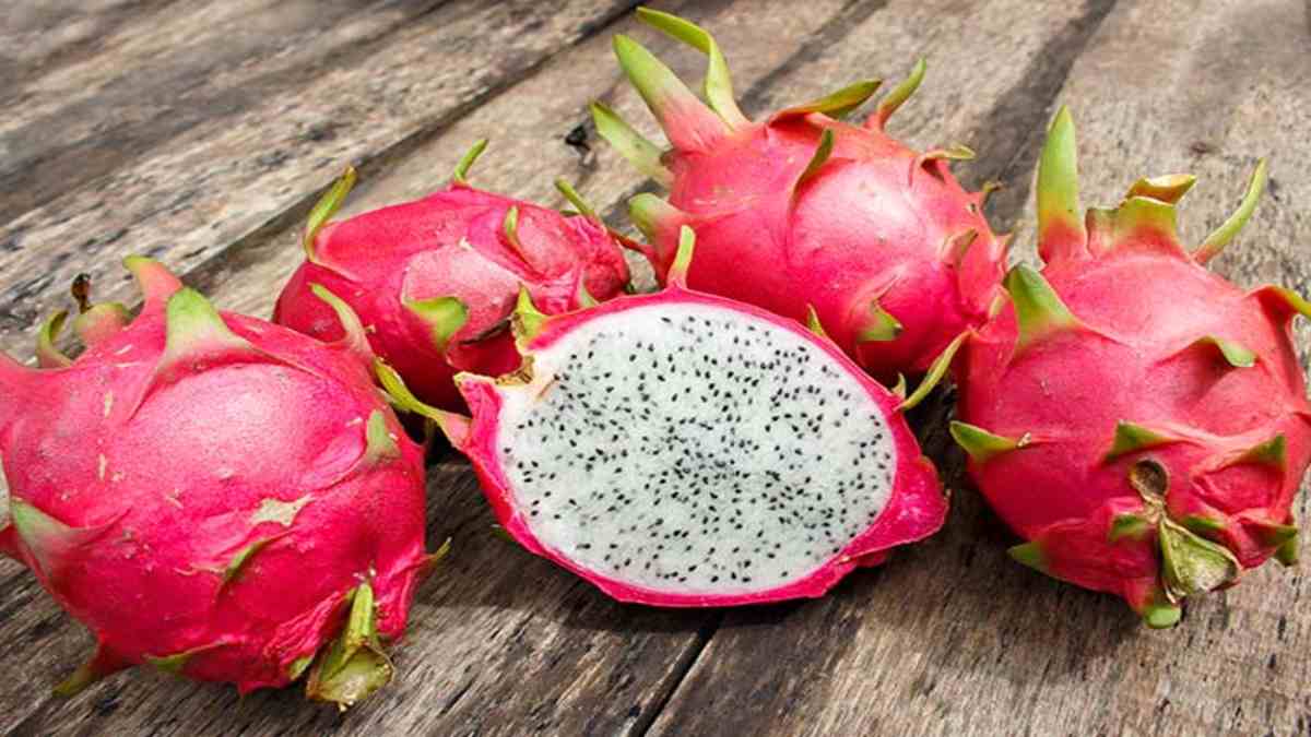 Pitahaya Mixteca