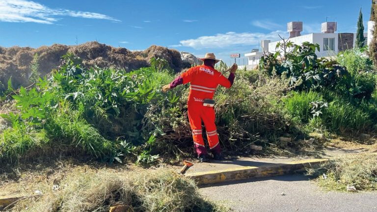 OOSL refuerza limpieza con jornada integral de chapeo y barrido en colonia Santa Margarita