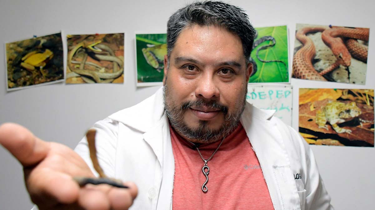 Investigador BUAP descubre una nueva especie de serpiente endémica de Puebla
