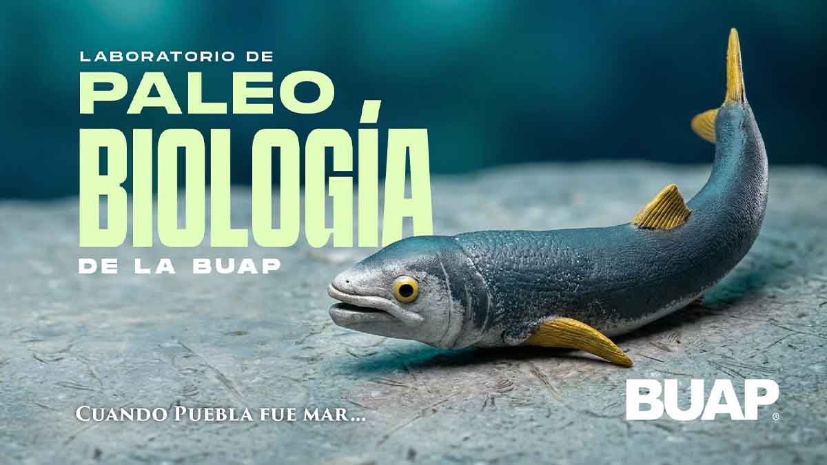 Laboratorio de Paleobiología BUAP revela claves del pasado para entender el futuro