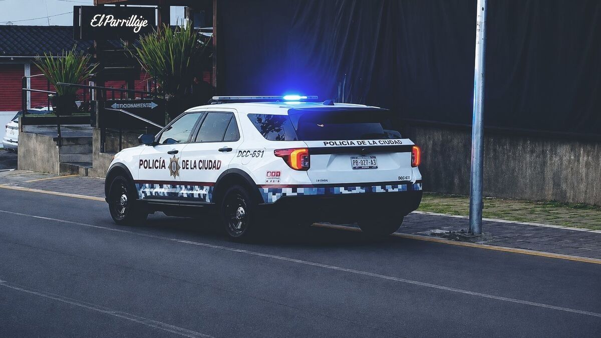 cortinazo-el-parrillaje-avenida-juarez