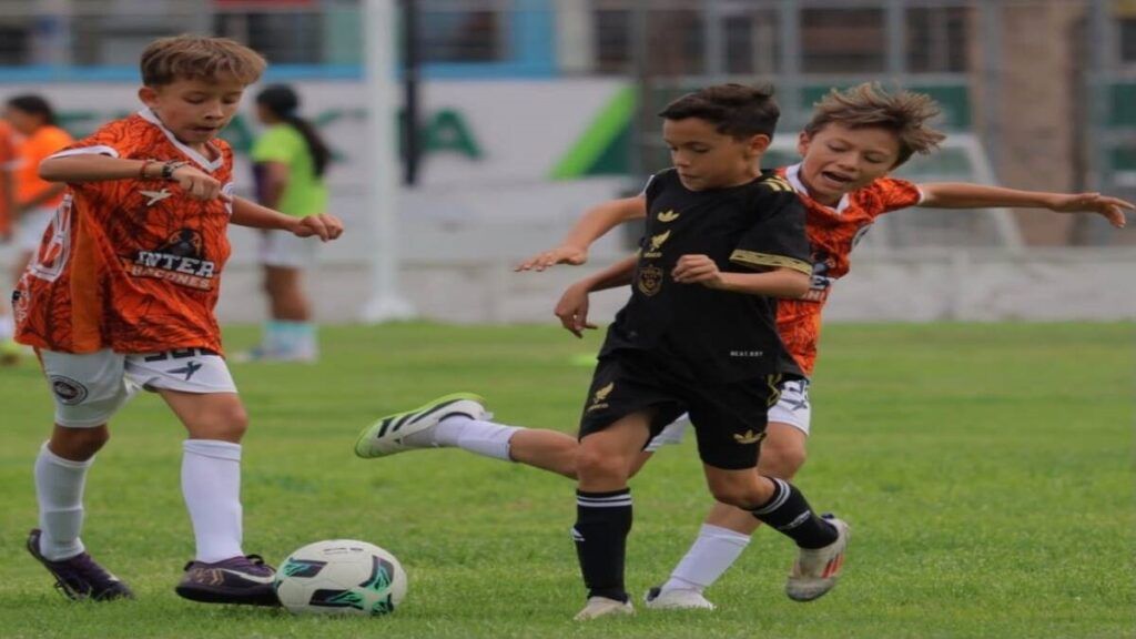 Universidad Interamericana Campamento de Verano de Futbol