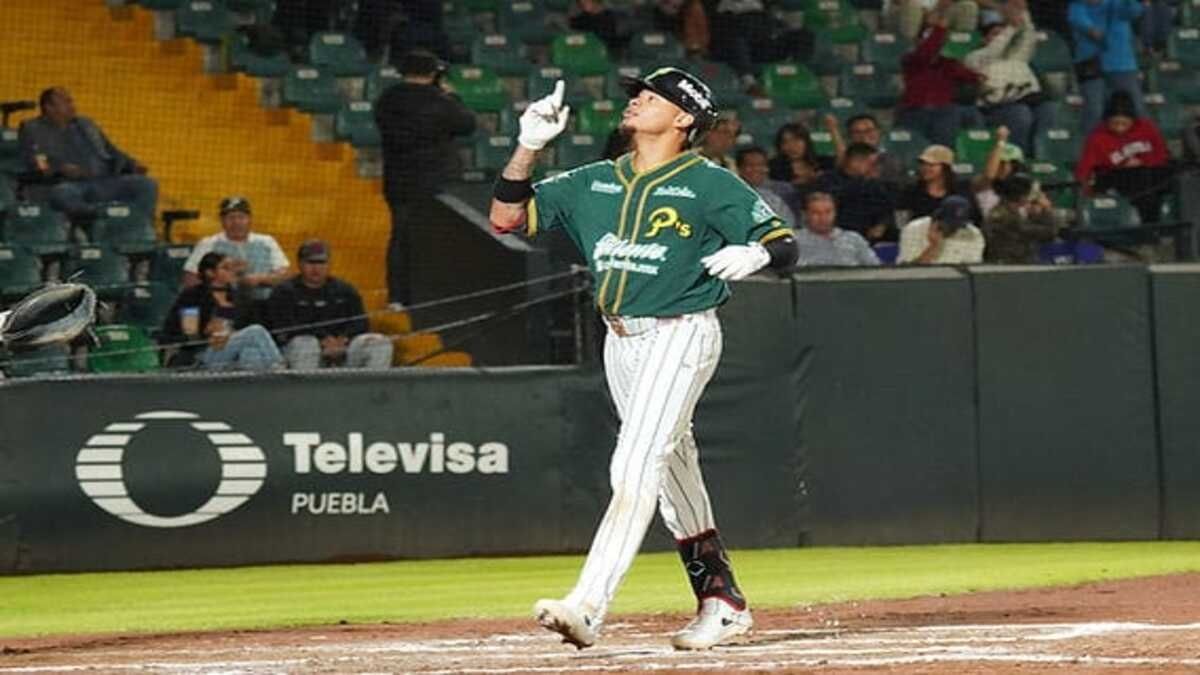 Pericos serie Águila de Veracruz