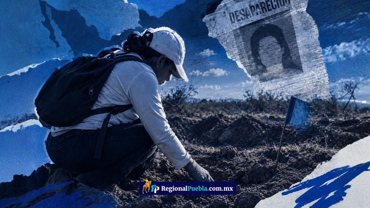 Fosas clandestinas: fiscalías estatales registran 619 más que la FGR
